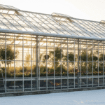 подготовка теплицы к зиме, зимняя теплица, защита растений от холода