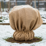 Главная картинка для статьи об укрытии роз на зиму: розы защищены от морозов и снега.